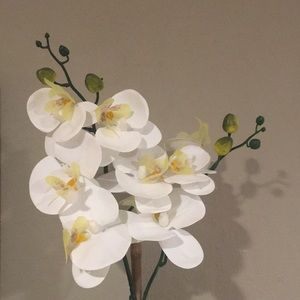 Meet your Posher, Joanna